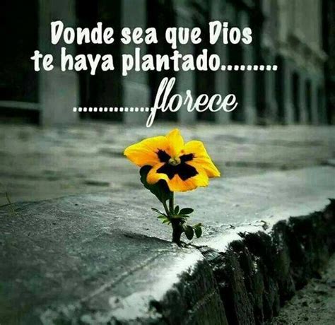 Hermosas Imagenes Con Frases De Dios