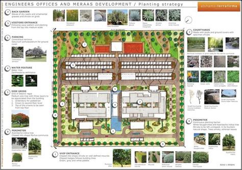 landscape architect salary  dubai home improvement