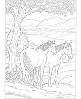 Caballos Colorear Ostwind Pinto Dover Publications Caballlos Doverpublications Ausmalen Malvorlagen sketch template