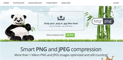 tinypng wordpress plugin  image size optimization york web technologies