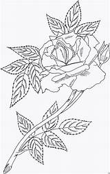 Rosen Ausmalen Rampicanti Ausmalbild Fiori Kletterrose Blumen Vorlagen Malvorlagentv sketch template