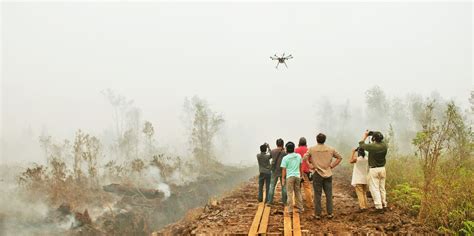 pros contras  potencial del uso de drones  la investigacion forestal cifor forests news