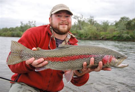 fly fishing  rainbow trout  alaska  trout fishing posts