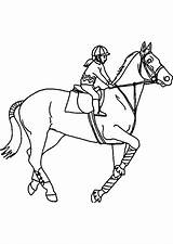 Pferde Ausmalbilder Reiterin Ausdrucken Reiter Mytie Malvorlagen Pferd Ausmalbild Ausmalen Malvorlagentv sketch template