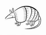 Armadillo Bestcoloringpagesforkids Armadillos Webstockreview sketch template