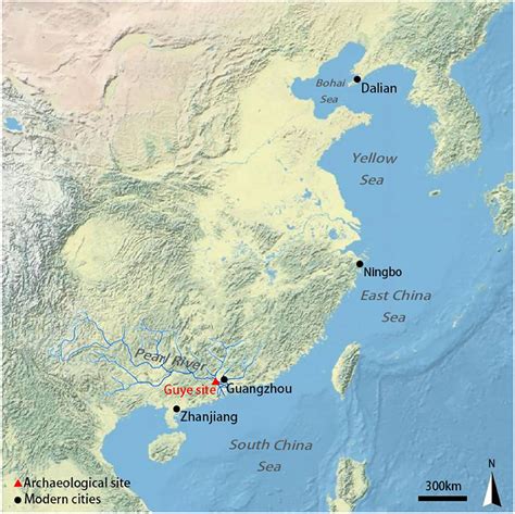 Frontiers Body Size And Age Estimation Of Chinese Sea Bass