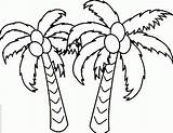 Coconut Tree sketch template