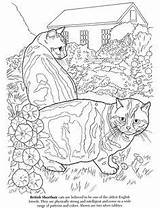Coloring Pages Cat Adult Books Dover Publications Doodle Sheets Animal Colors Dog Printable sketch template