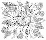Dreamcatcher Feathers Stress Coloration Xen Ethnic Elements Erwachsene Zentangle Boho Poissons Adultes Griffonnage Traumfaenger sketch template
