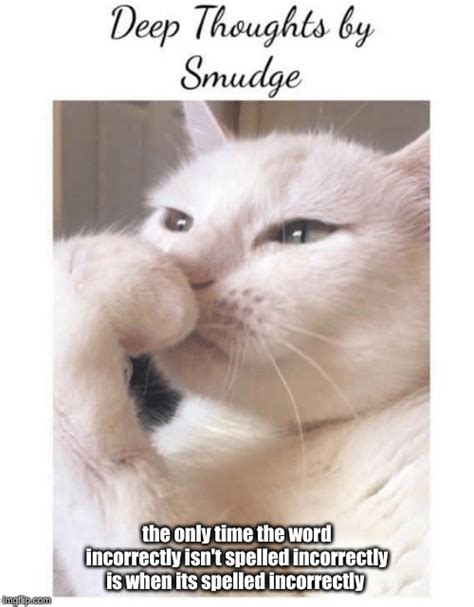 deep thoughts  smudge imgflip