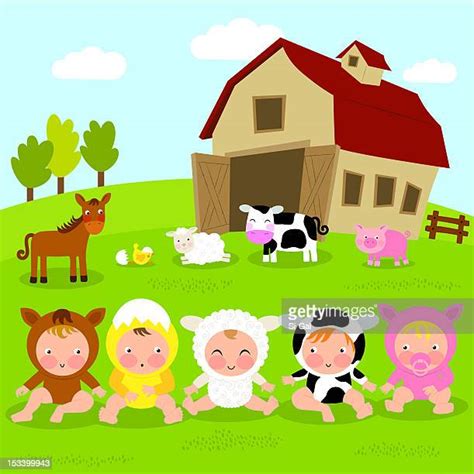 baby barnyard animals   premium high res pictures getty images