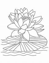 Tropical Coloring Pages Leaves Flower Color Getcolorings Pa Getdrawings Drawing sketch template