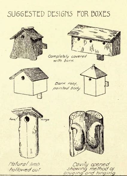 diy wood bird house plans wooden  ple wood projects  kids cooingqzt