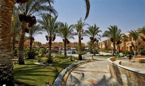 promo   jaz makadi oasis resort egypt good hotel jobs london