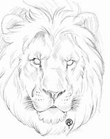Drawings Sketches Lion Drawing Animal Realistic Simple Sketch Head Pencil Desenhos Em Arte sketch template