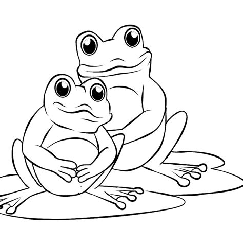 pin  christine davison  frogs animal coloring pages frog