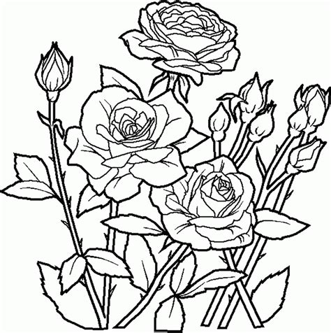 coloring pages  amazing flowers coloring home