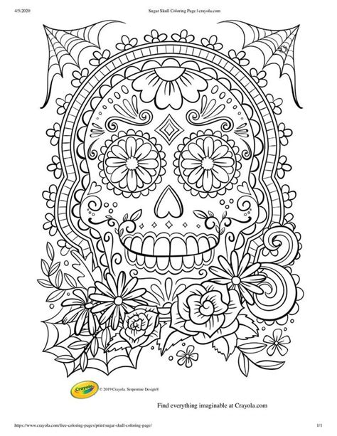 coloring pages  kids  adults    fun