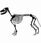 Skeleton Dog Vector Animal Clipart Cartoon Dinosaur Template Clip Pasta Bones Clipground Vectors Clker Royalty Vectorstock Rating Cliparts sketch template