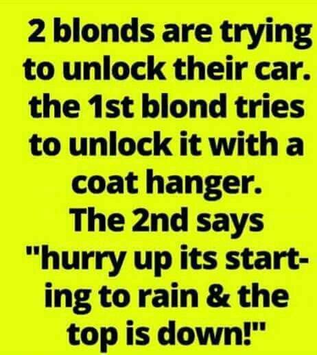 17 blonde memes ideas blonde jokes blonde memes funny blonde jokes