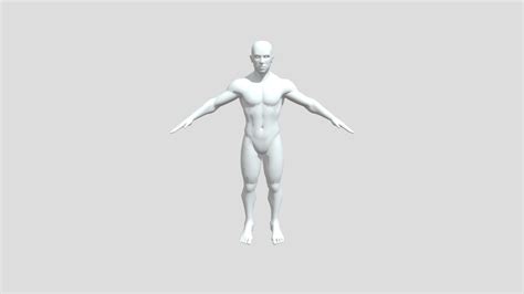 standard male figure fbx download free 3d model by louislysanderomar