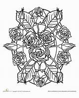 Coloring Mandala Pages Roses Adult Rose Adults Printable Flower Cool Flowers Mandalas Color Tattoo Education sketch template