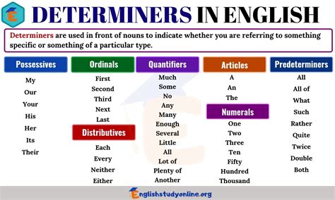 english blogger  determiners part