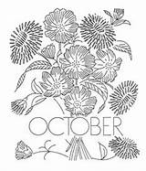 Flower Month Flowers Embroidery Cosmos Vintage Calendula sketch template