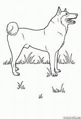 Colorkid Pooch sketch template