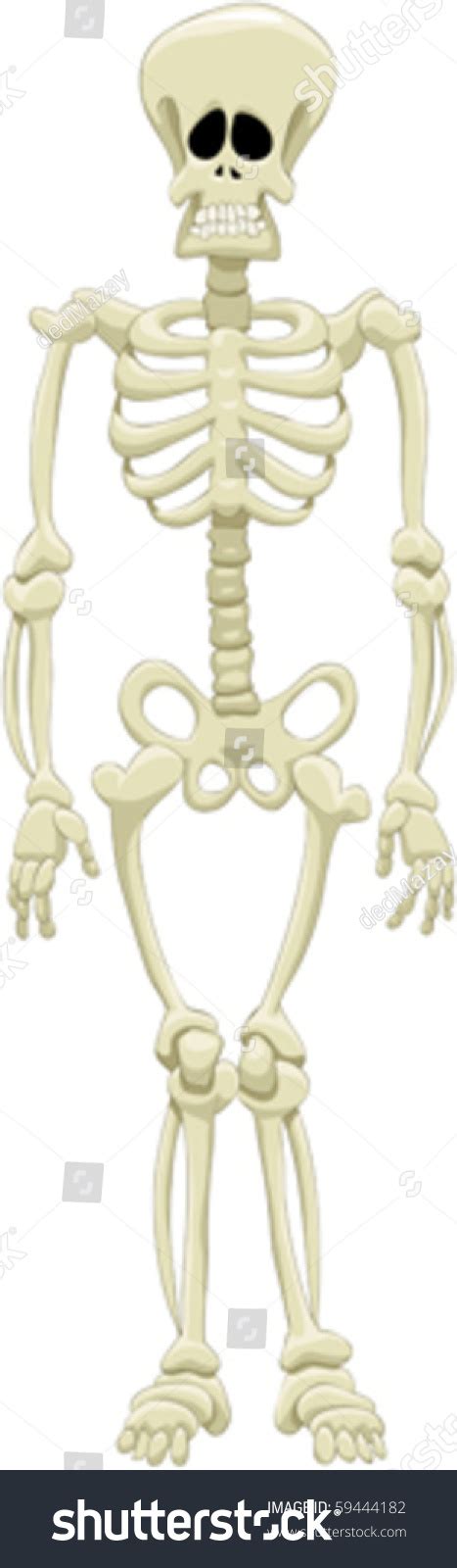 Cartoon Illustration Funny Human Skeleton Stock Vector