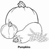 Coloring Gourds Pumpkin Parents sketch template