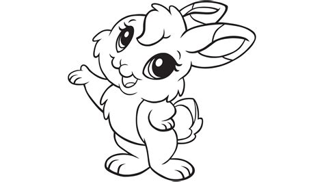 bunny rabbit coloring page  picture coloring home