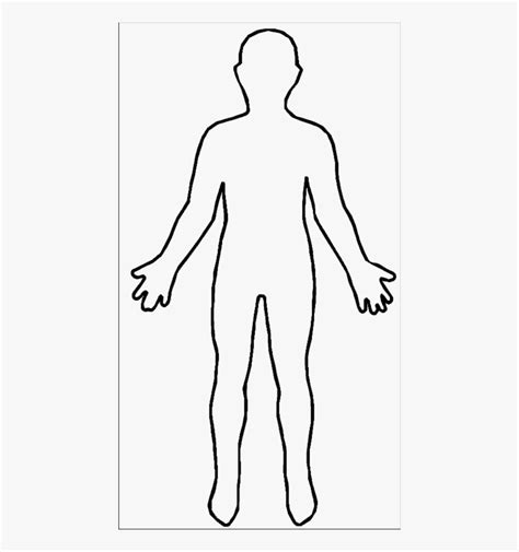 anatomy outline  human body human body outline silhouette clipart