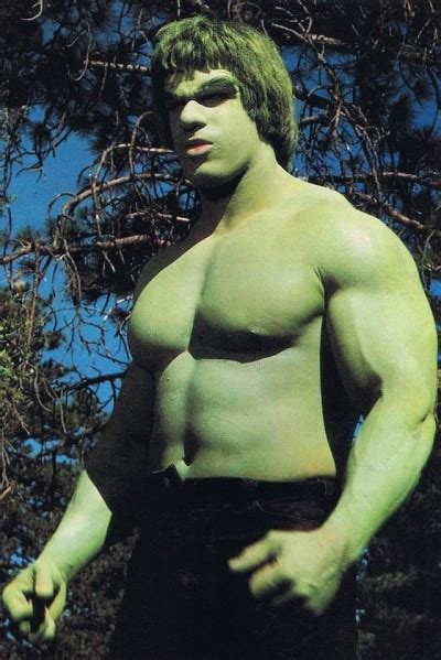 Incredible Hulk 1978 The Incredible Hulk 1978 Tv Series