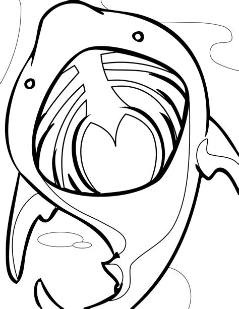 hammerhead shark skull coloring pages