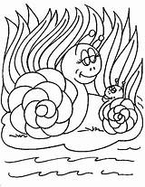 Snail Coloring Pages Snails Kids Fun Slak Coloringpages1001 sketch template