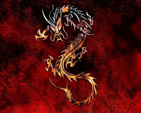 fire dragon fire dragon wallpaper  silverdarkhawk  deviantart