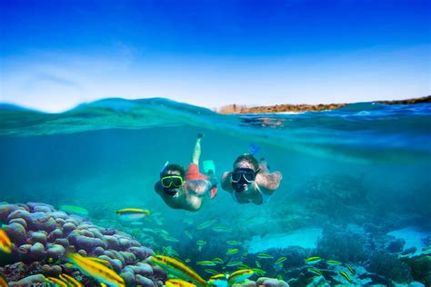 snorkeling spots  nassau  bahamas sandals