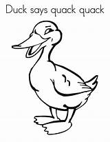 Duck Coloring Quack Pages Says Printable Kids Ducks Quacking Print Bath Rocks sketch template