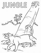 Jungle Coloring Pages sketch template
