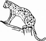Cheetah Gepard Chester Ausmalbild Kratts Colouring sketch template