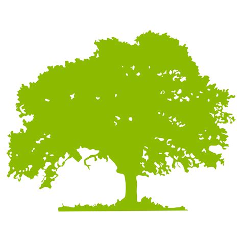 tree vector png   tree vector png png images