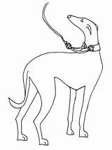 Whippet Clipart Lurcher Silhouette Outline Greyhound Clip Clipground Shamelessly Perfect Thewhippet sketch template