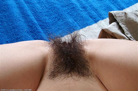 brunette babe undressing and exposing her hairy bush