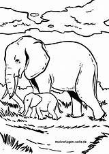 Elefant Elefanten Malvorlage Ausmalen Wilde Boyama Sayfalari Hayvanlar Vahsi sketch template