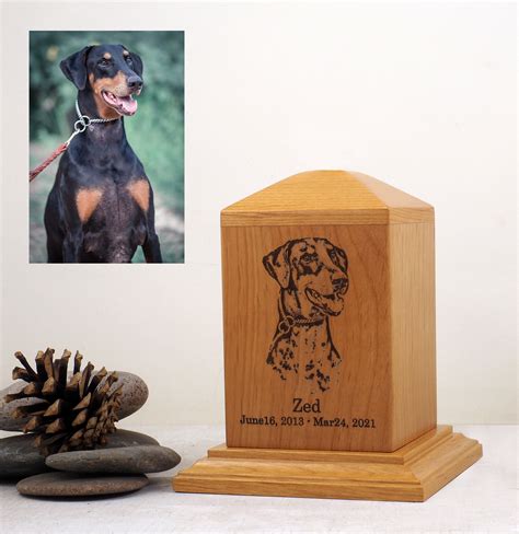 cremation pet urn  dogs dog urn cat urn pet urn custom etsy