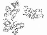 Farfalle Colorare Atuttodonna Disegno Farfalla Ritagliare Sagome Careersplay sketch template