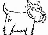 Coloring Pages Scottish Terrier Scottie Dog Getcolorings Printable Getdrawings sketch template