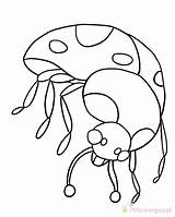 Ladybug Biedronka Kolorowanki Ladybugs Dzieci Bestcoloringpagesforkids Lb3 sketch template