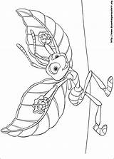 Bugs Bichos Desenhos Inseto Flik Colorir Colorat Insecto Krabbeln Ausmalbilder Temu Dawno Trawie Kolorowanki P19 Asas Raupe Malvorlagen Fly Chucrute sketch template